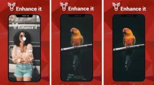 Enhance Tips APK 1