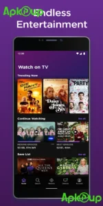 Roku TV 1