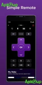Roku TV 3