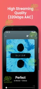 Youtify APK 1.1.0 2